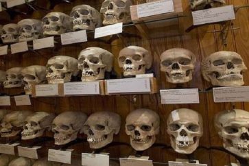 536 crânes de résistants algériens sont toujours au musée de Paris