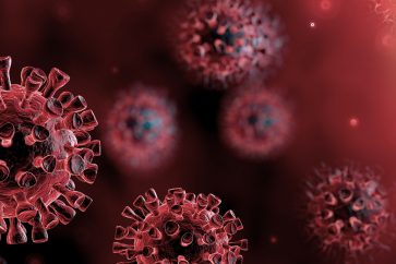 La question de l'immunité fait l'objet de nombreuses recherches depuis le début de la pandémie.