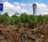 Le missile yéménite est tombé dans une zone plantée d'arbres à côté d'une bretelle d'accès aux parkings du terminal 3 de l’aéroport de Ben Gourion.