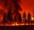 L'incendie a déjà consumé plus de 32.500 hectares, principalement de la végétation, et détruit un bâtiment