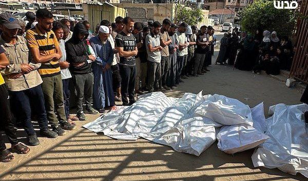 <a href="https://french.manartv.com.lb/3339492">Gaza: l&rsquo;UE a des cartes en main pour sanctionner ‘Israël’ mais ne passe pas aux actes</a>